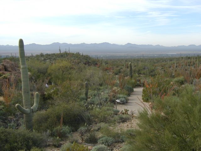 Tucson