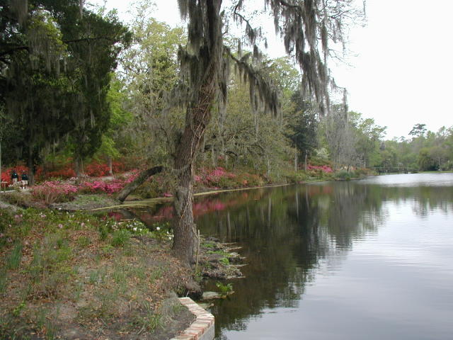 Middleton Place