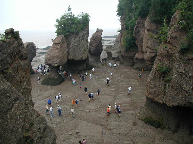 Bay of Fundy -low