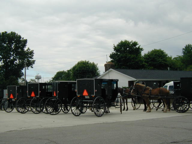 Amish