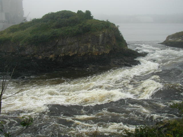 Reversing Falls