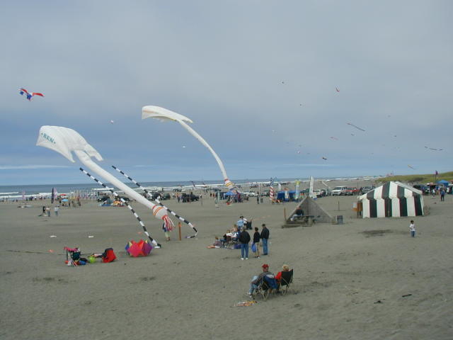 Kites