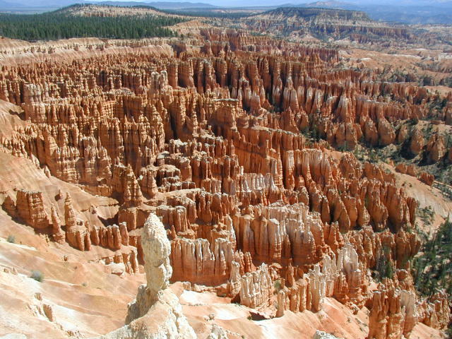 Bryce