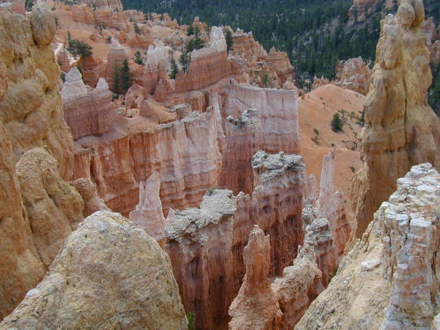 Bryce