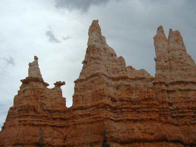 Bryce