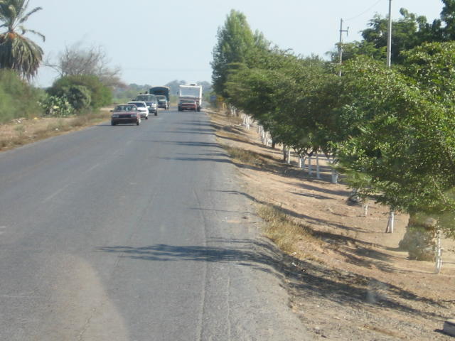 Road to Las Glorias
