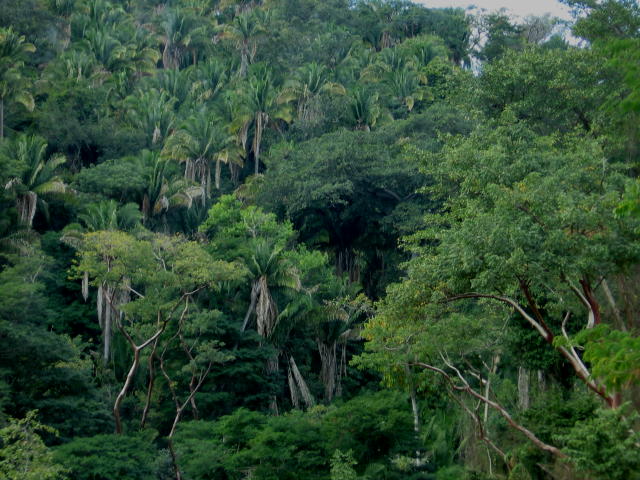 Santa Cruz Scenery