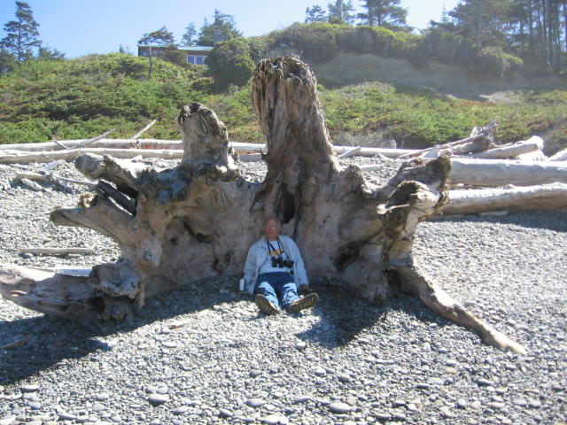 Kalaloch