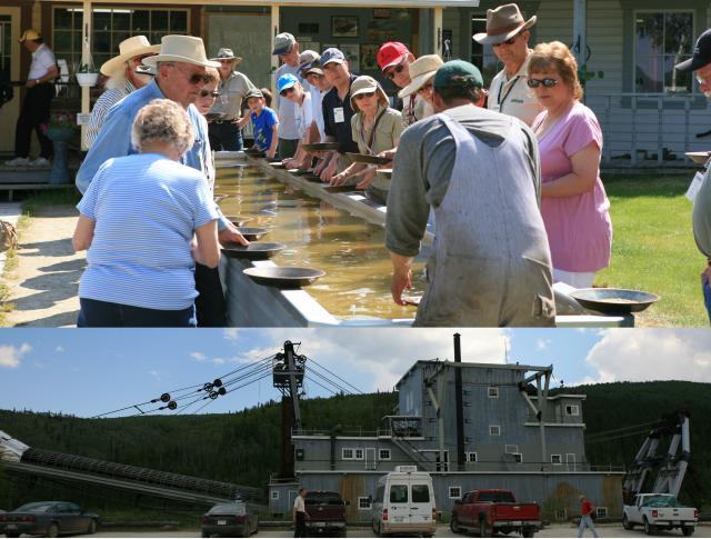 Dawson City Gold