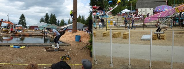 Whidbey Island Fair