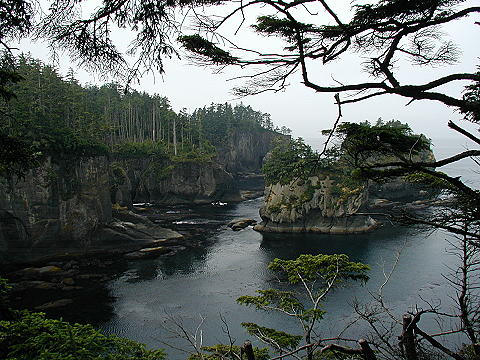 Cape Flattery