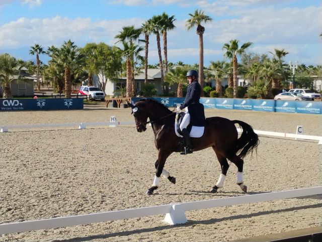 Dressage