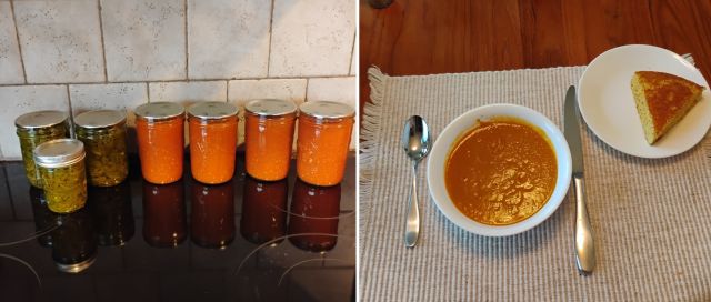 Garden Harvest